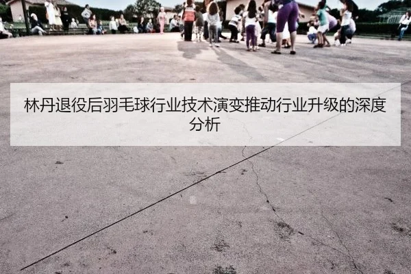 林丹退役后羽毛球行业技术演变推动行业升级的深度分析