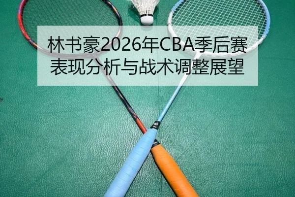 林书豪2026年CBA季后赛表现分析与战术调整展望