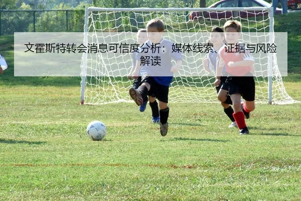 文霍斯特转会消息可信度分析：媒体线索、证据与风险解读